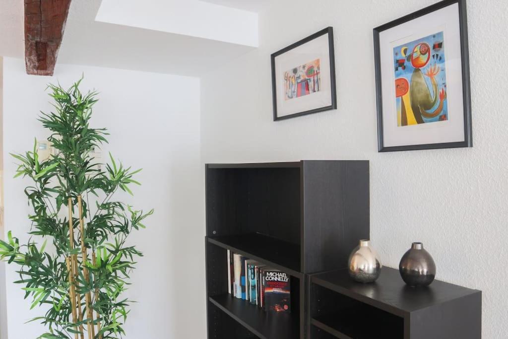 Appartement Le Contemporain, Hypercentre Mulhouse Extérieur photo